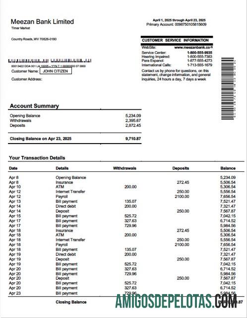 Extrato de conta limitado do Paquistão Meezan Bank para download, modelo Word e PDF